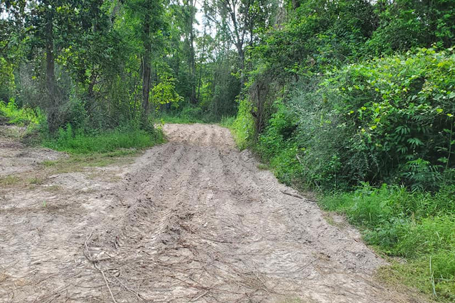 Land Clearing